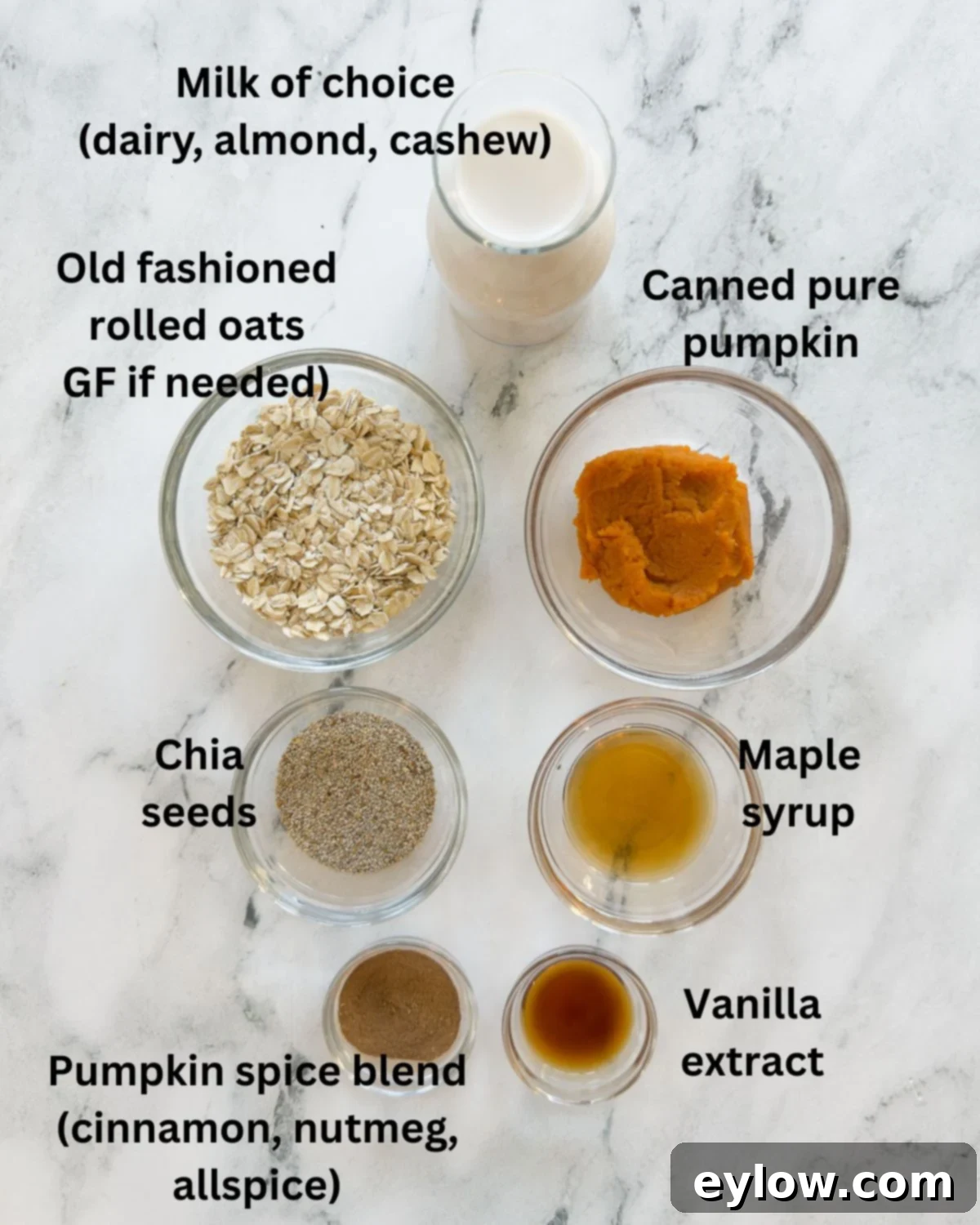 Ingredients for pumpkin overnight oats on a marble counter, including oats, chia seeds, pumpkin puree, spices, and milk.