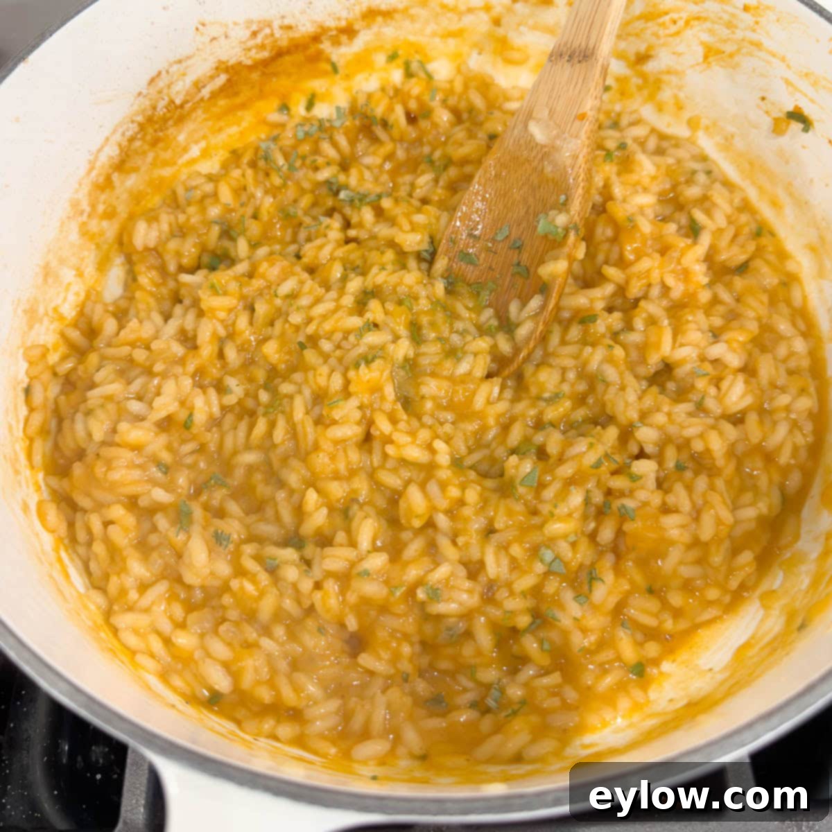 A finished pot of pumpkin risotto ready for next step of adding Parmesan. 
