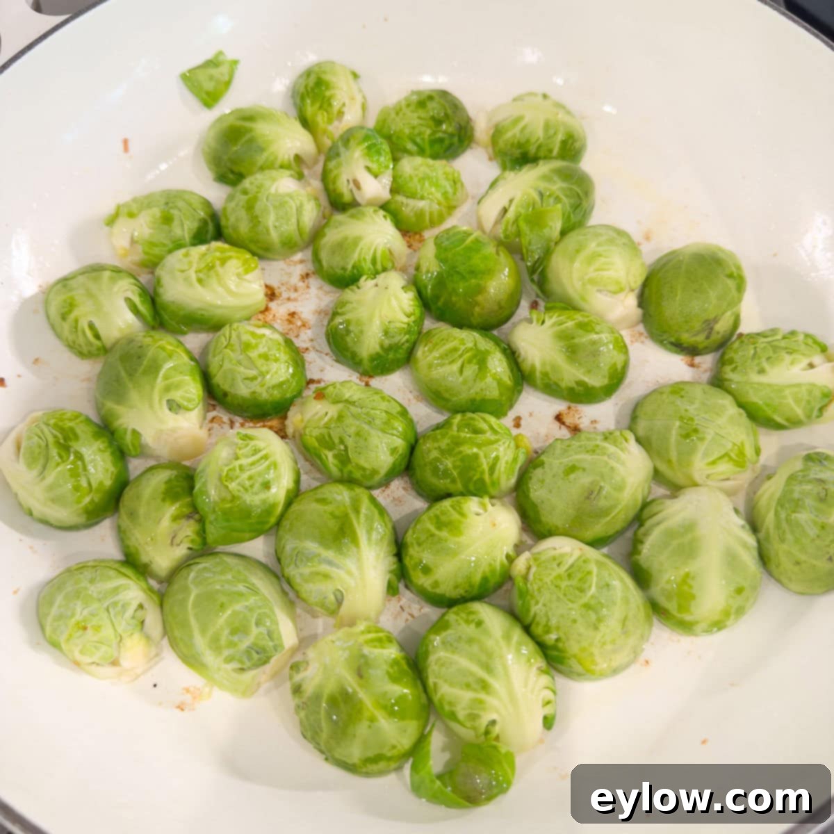 Golden Brussels Sprouts with Crispy Pancetta 7 Halved Brussels sprouts are arranged cut-side down in a wide white pan on a stovetop, actively browning and caramelizing in the residual fat from the pancetta, promising tender interiors and crisp exteriors.